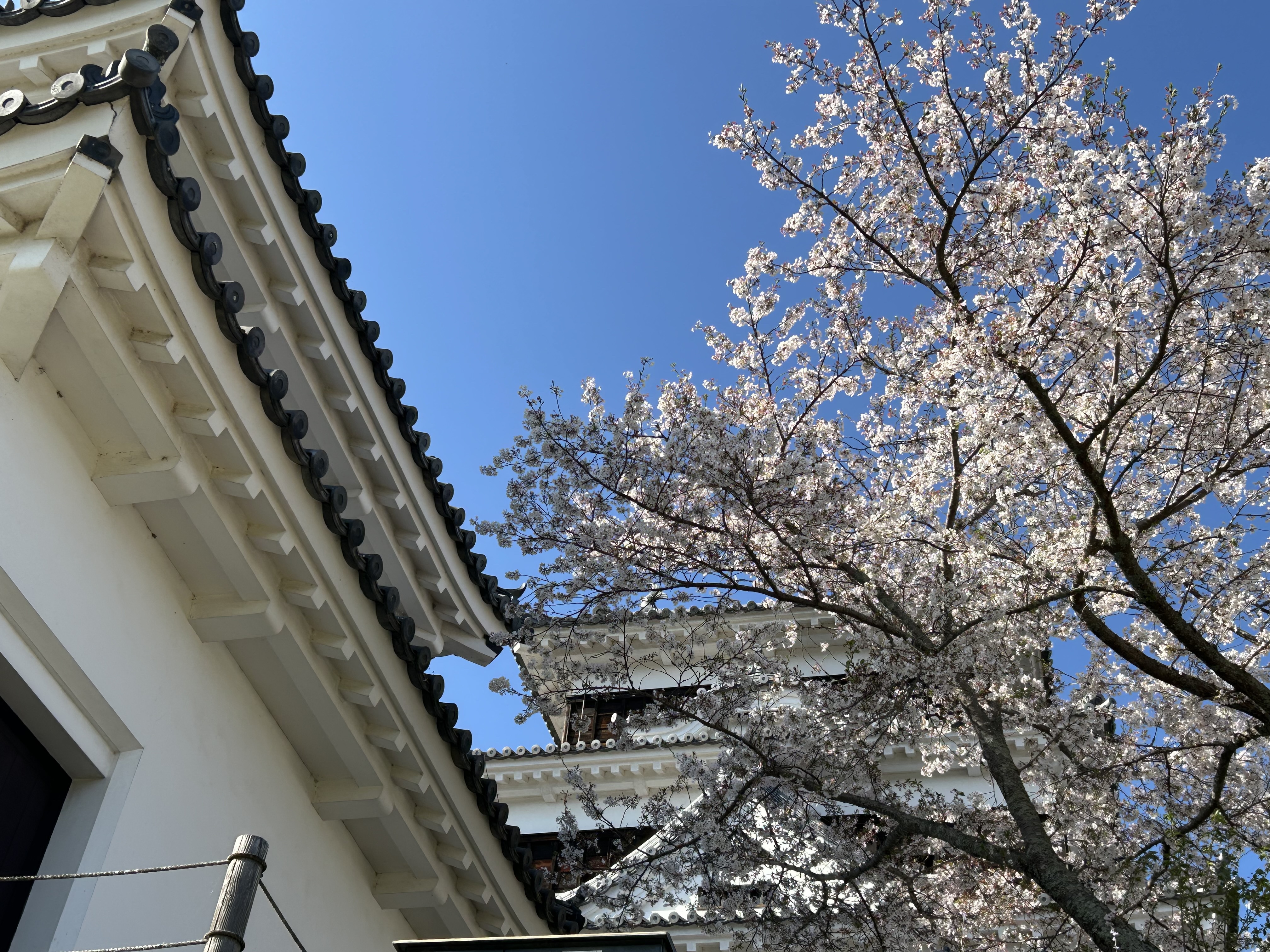 運用支援